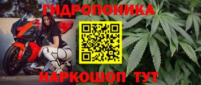 амф Будённовск